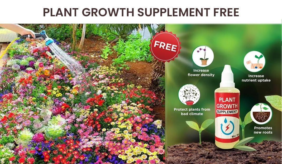 PREMIUM FLOWER SEEDS WITH FREE PLANT GROWTH SUPPLEMENT