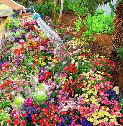 PREMIUM FLOWER SEEDS WITH FREE PLANT GROWTH SUPPLEMENT